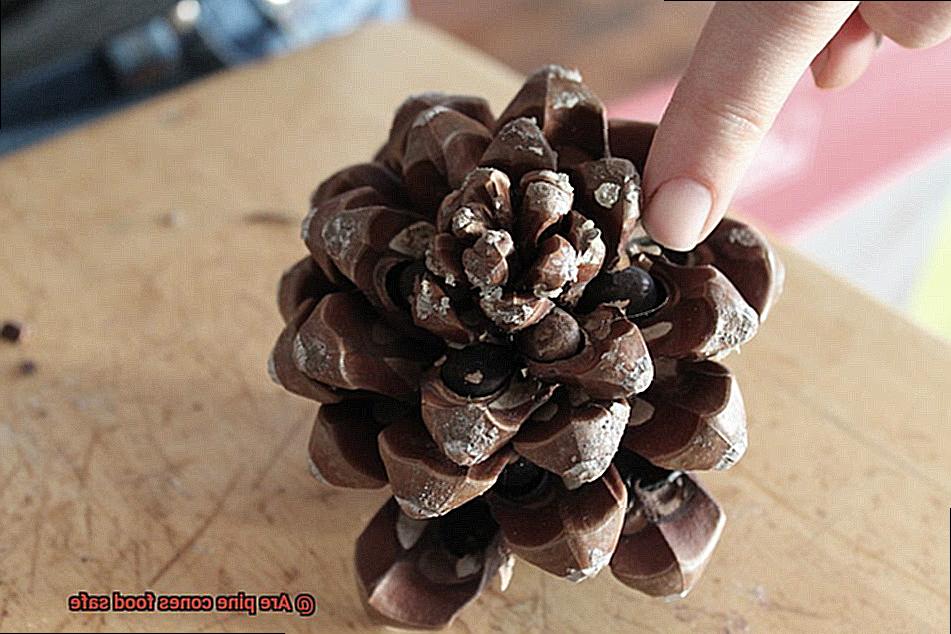 Are pine cones food safe-4