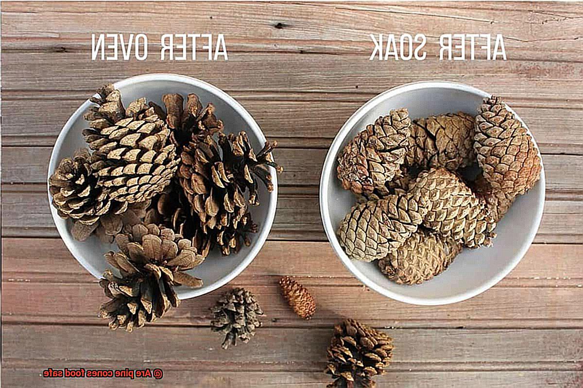 Are pine cones food safe-5