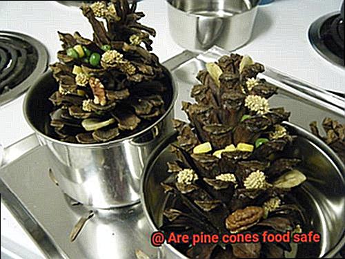 Are pine cones food safe-3