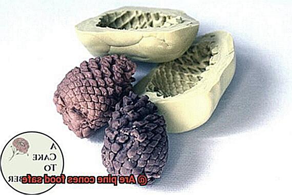 Are pine cones food safe-6