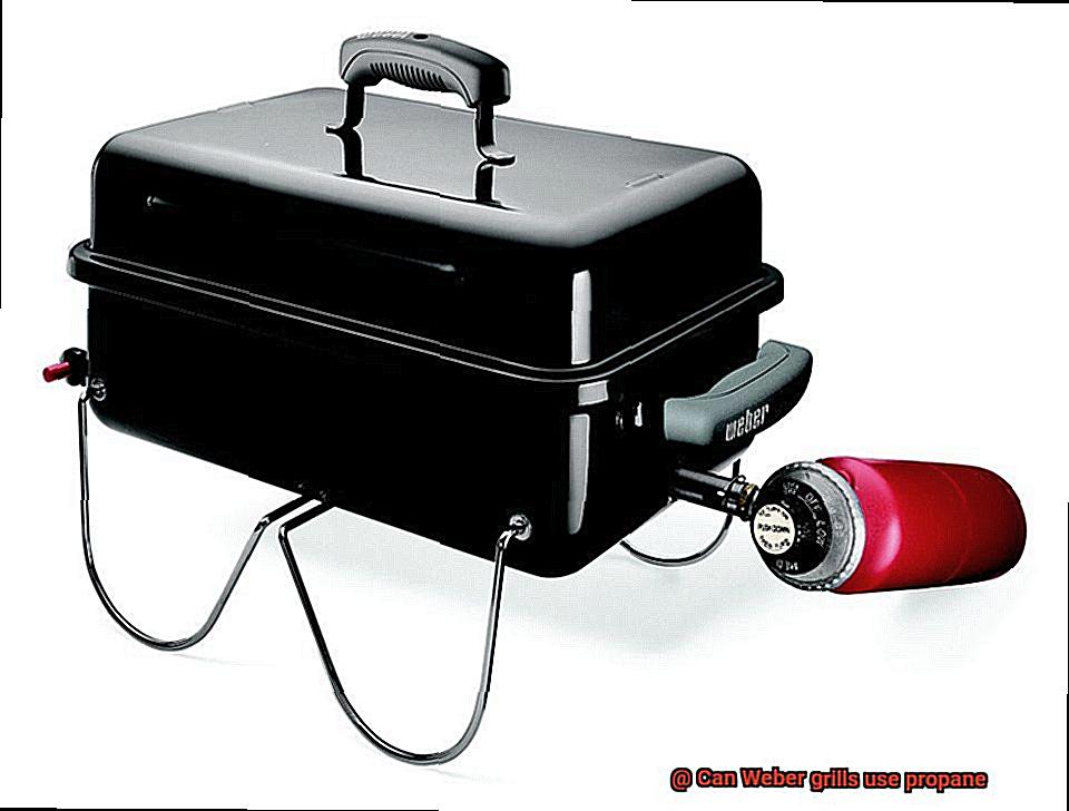 Can Weber grills use propane-4