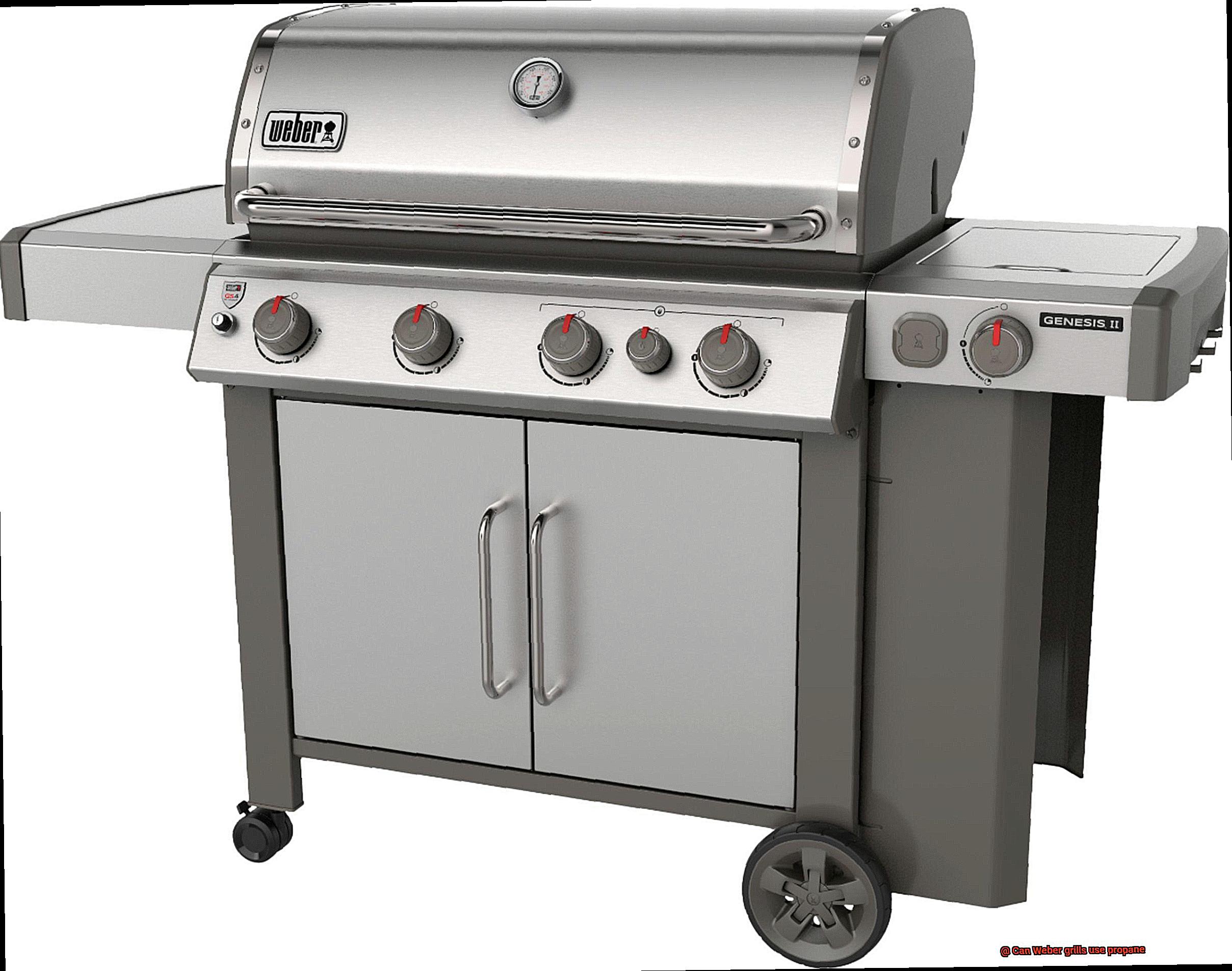 Can Weber grills use propane-5