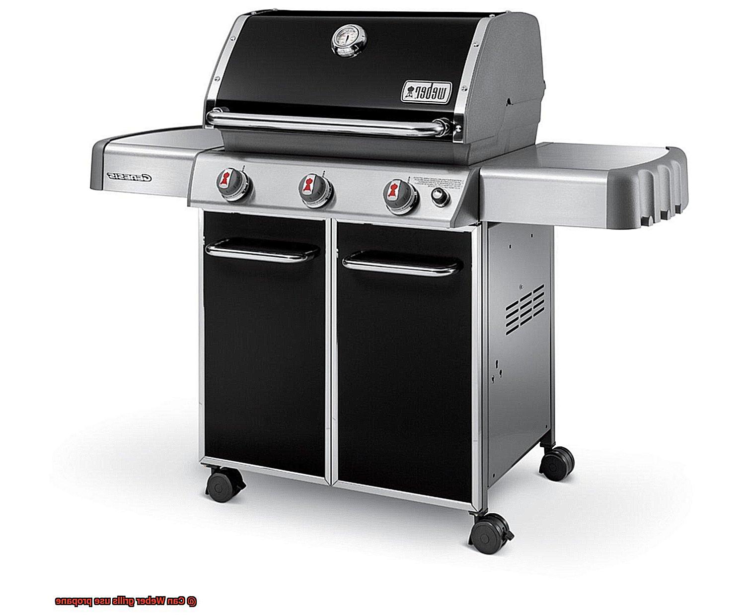 Can Weber grills use propane-3