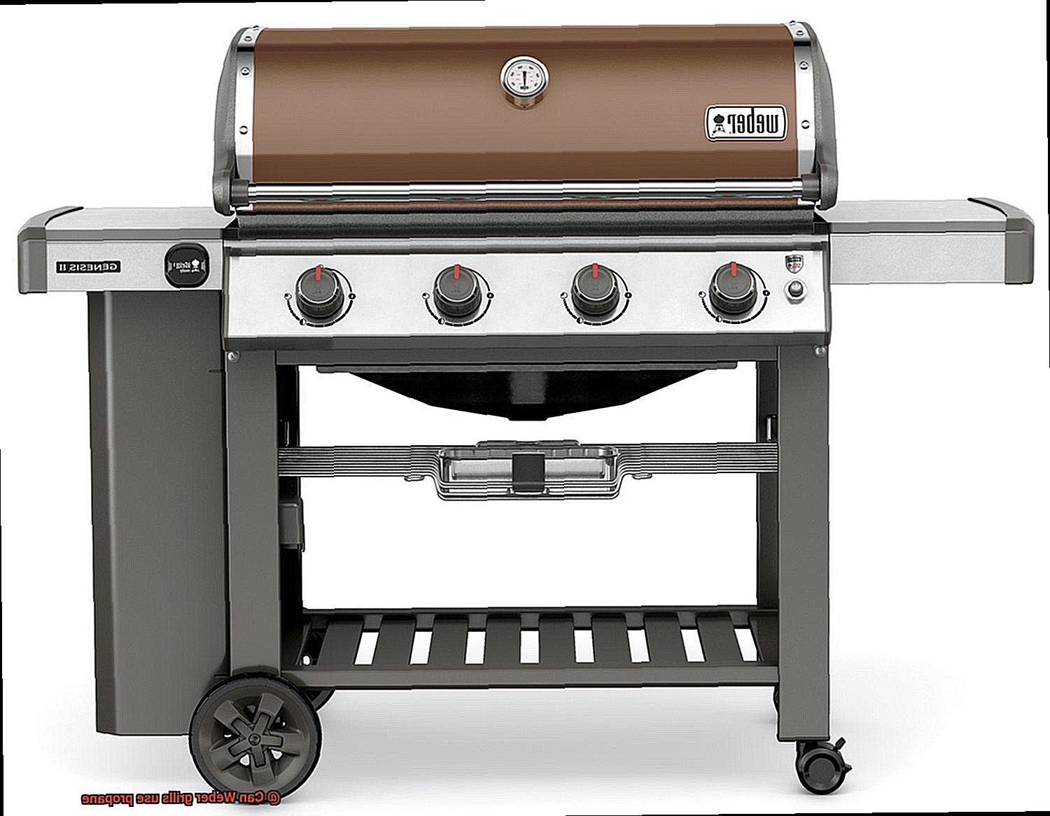 Can Weber grills use propane-6