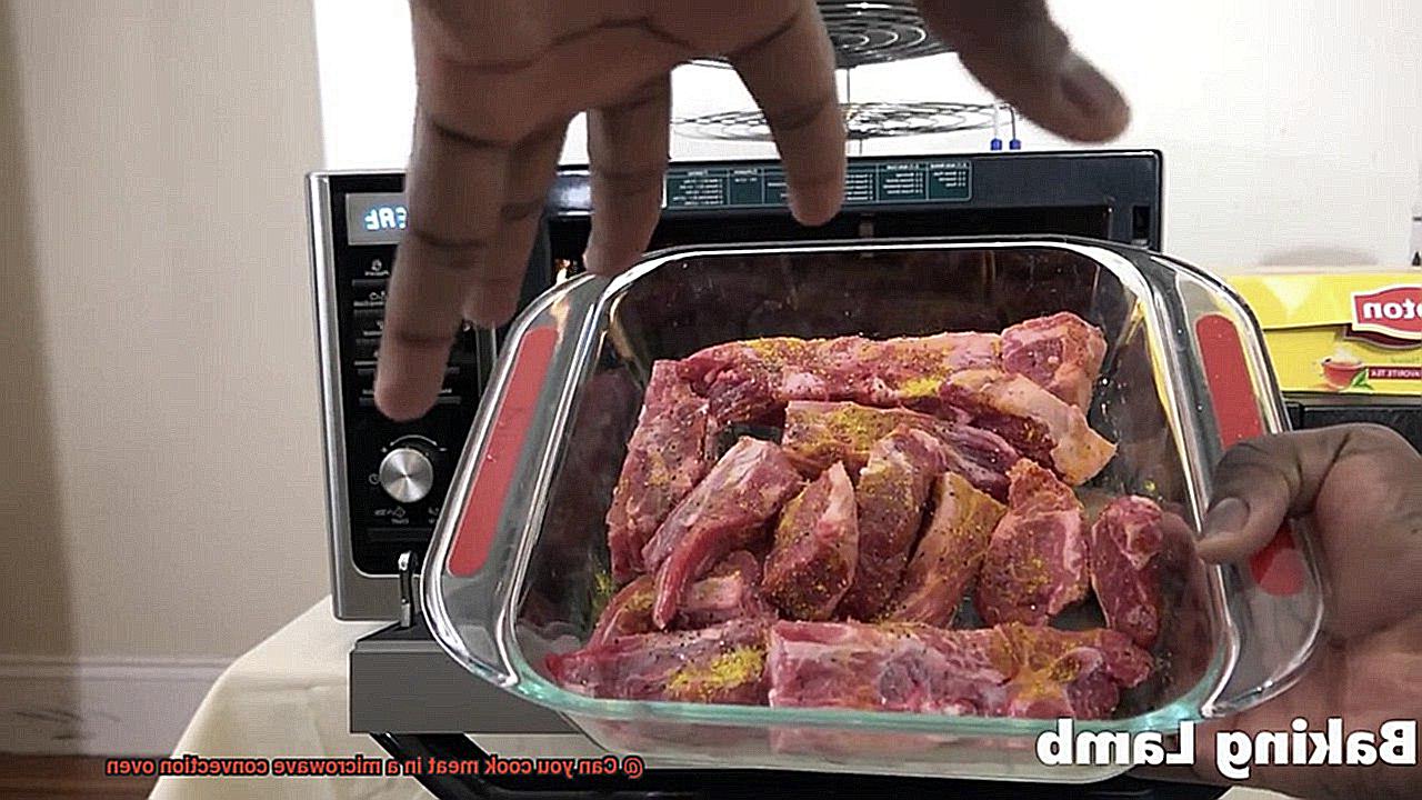 Can you cook meat in a microwave convection oven-6