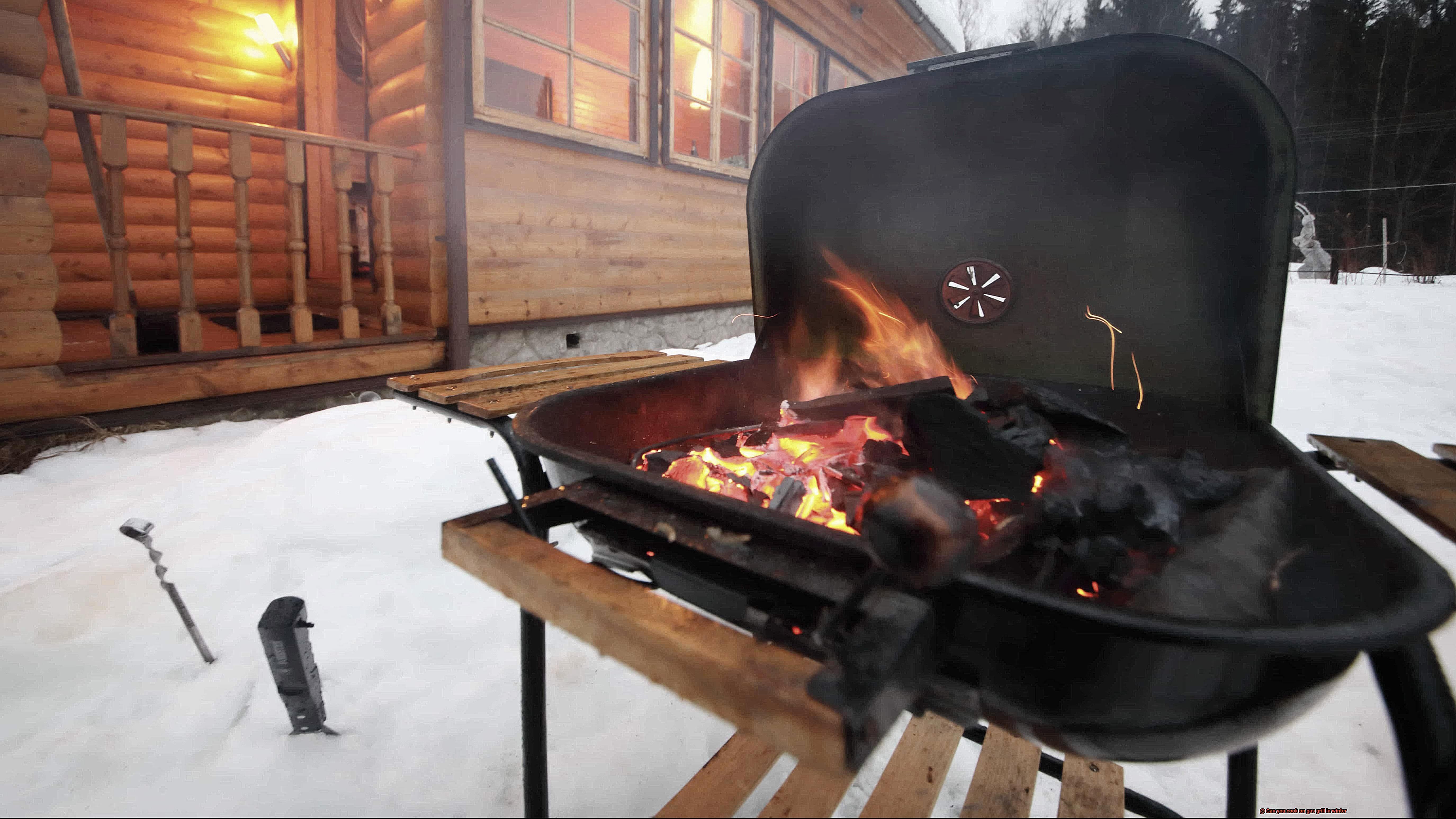 Can you cook on gas grill in winter-3