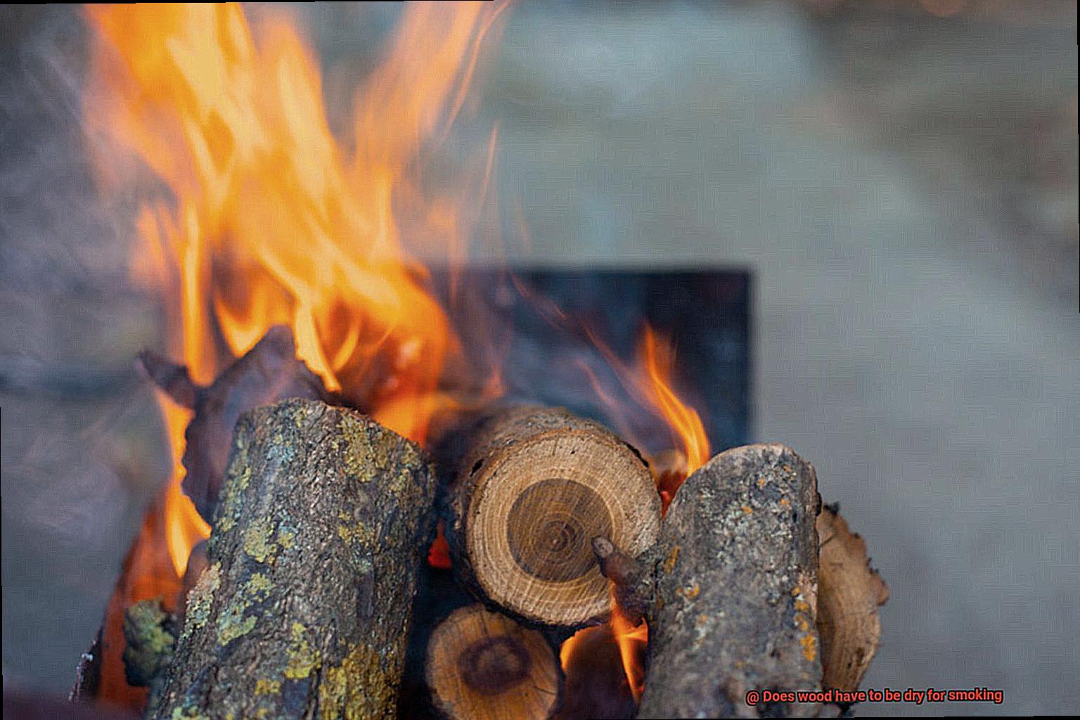 Does wood have to be dry for smoking-2