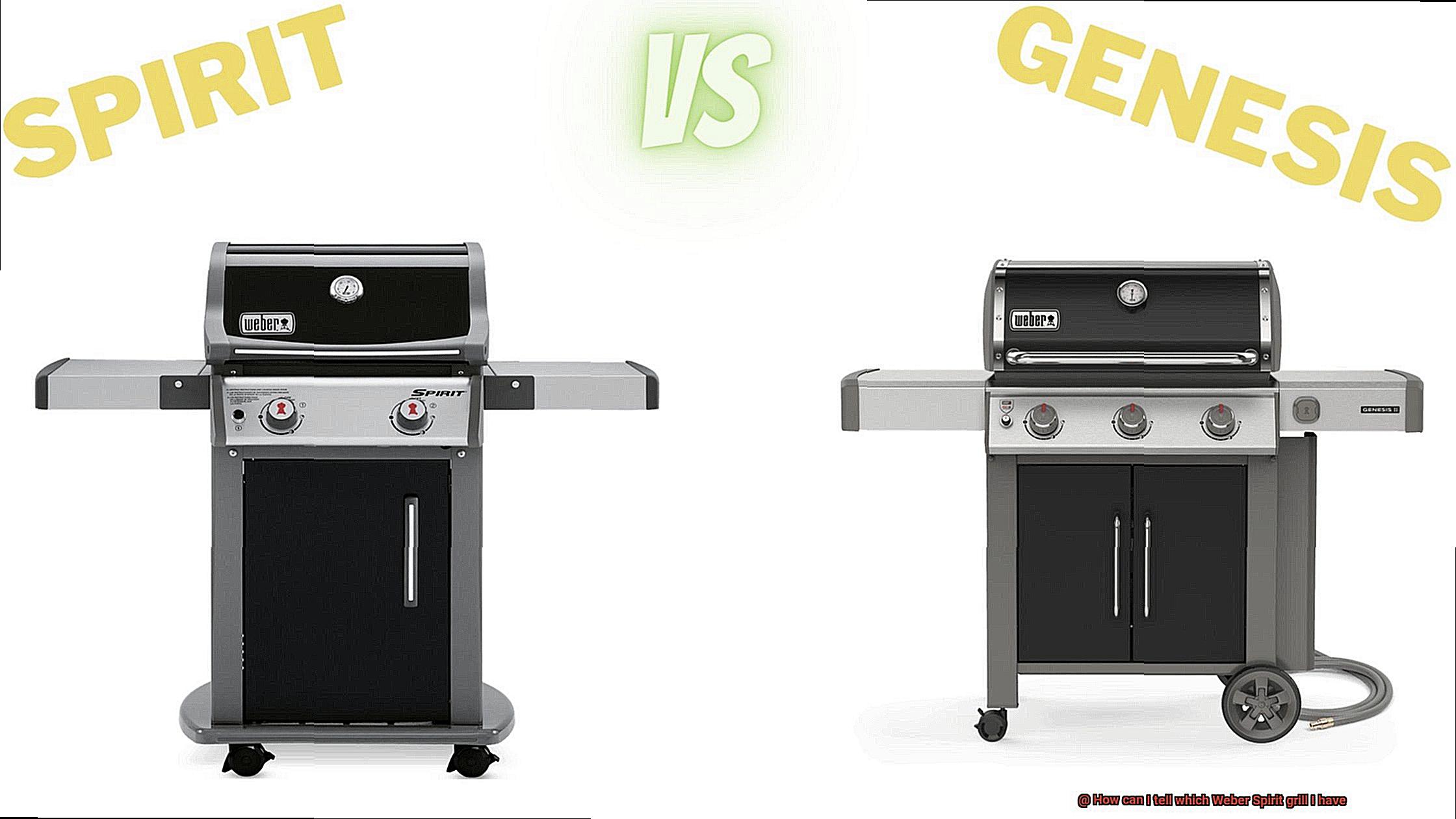 How can I tell which Weber Spirit grill I have-7