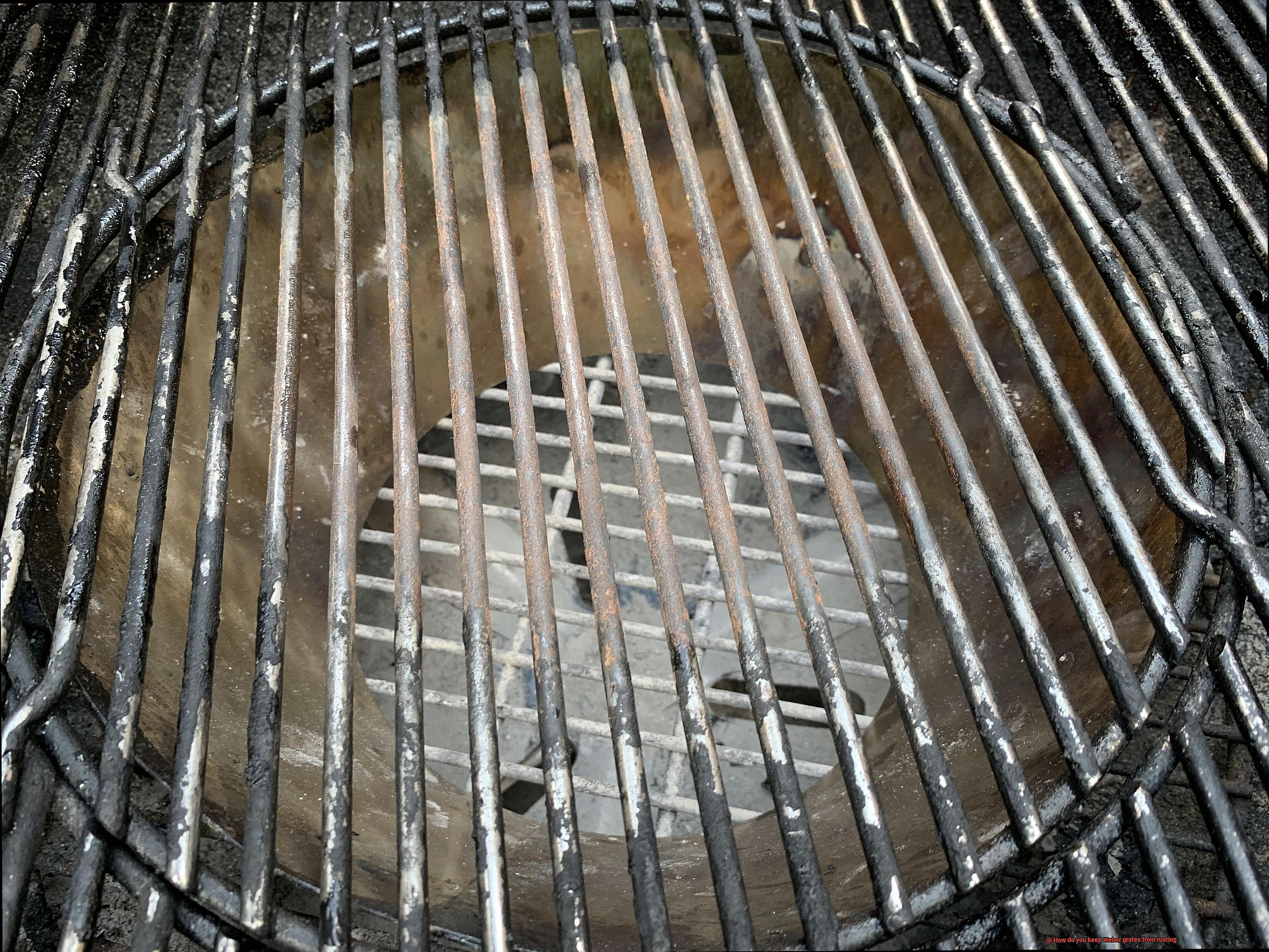 How do you keep Weber grates from rusting-5