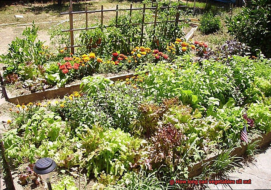 How long can vegetables sit out-7