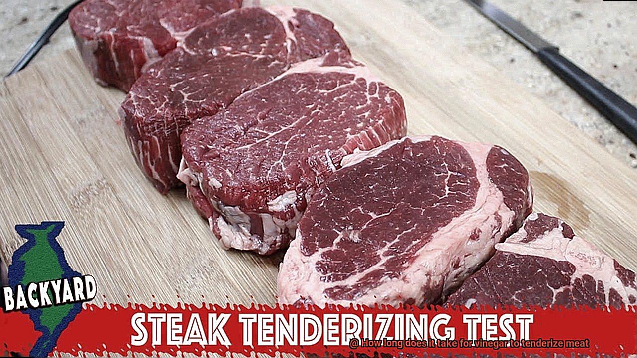 How long does it take for vinegar to tenderize meat-2