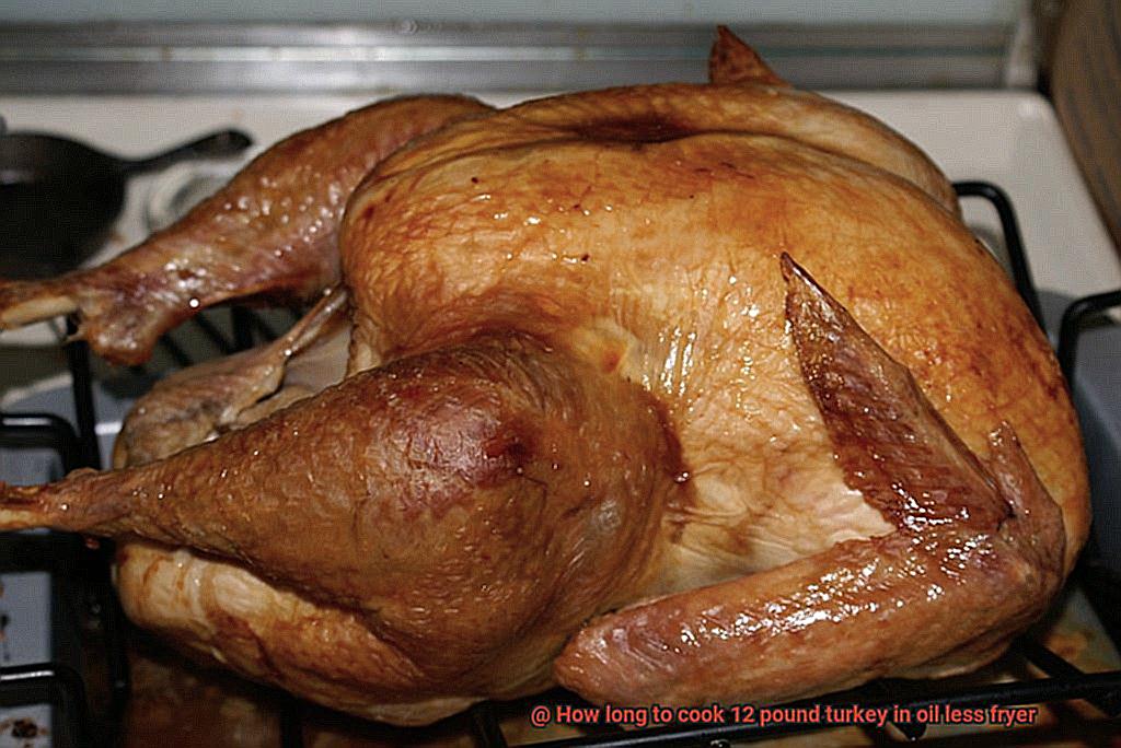 How long to cook 12 pound turkey in oil less fryer-4