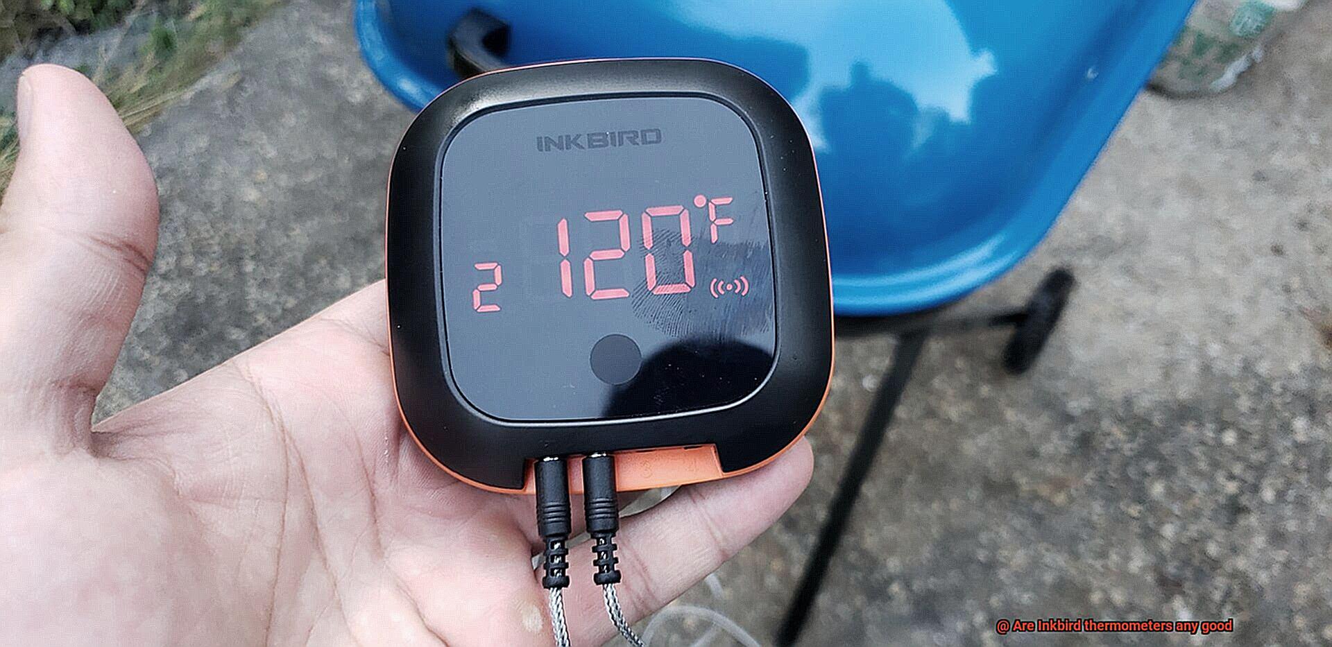 Are Inkbird thermometers any good-2