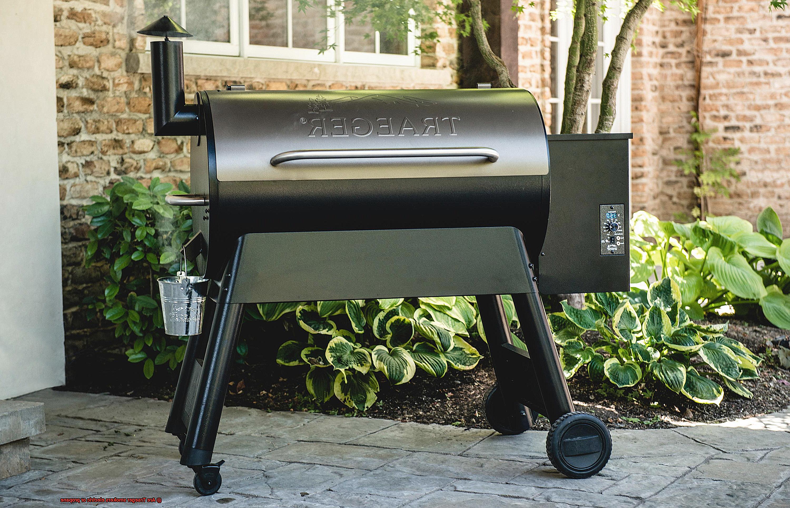 Are Traeger smokers electric or propane -7