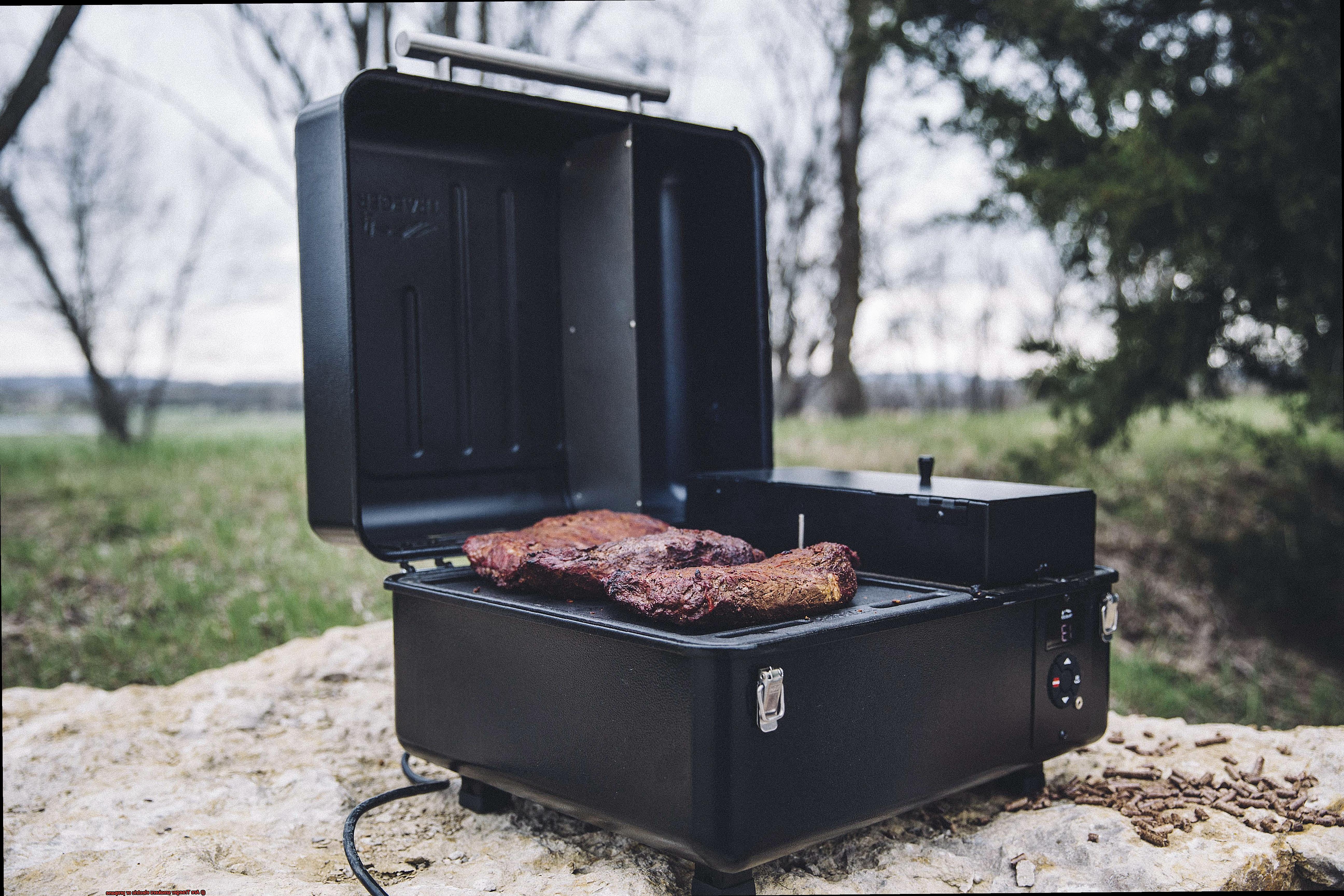 Are Traeger smokers electric or propane -4