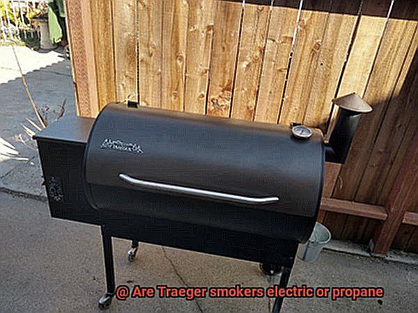 Are Traeger smokers electric or propane -6