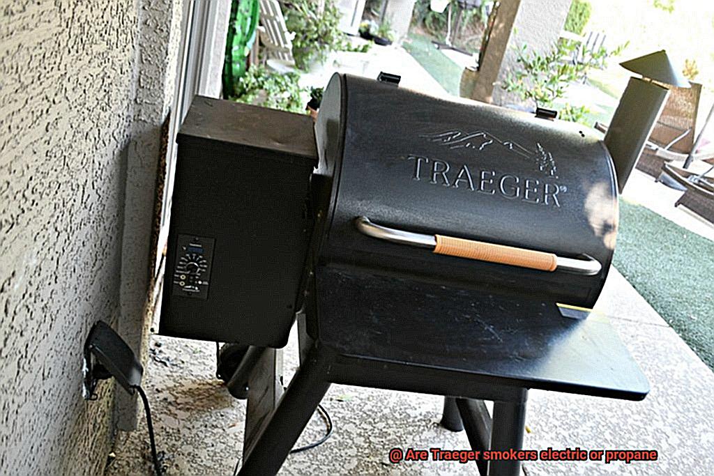 Are Traeger smokers electric or propane -3