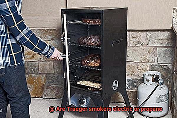 Are Traeger smokers electric or propane -5