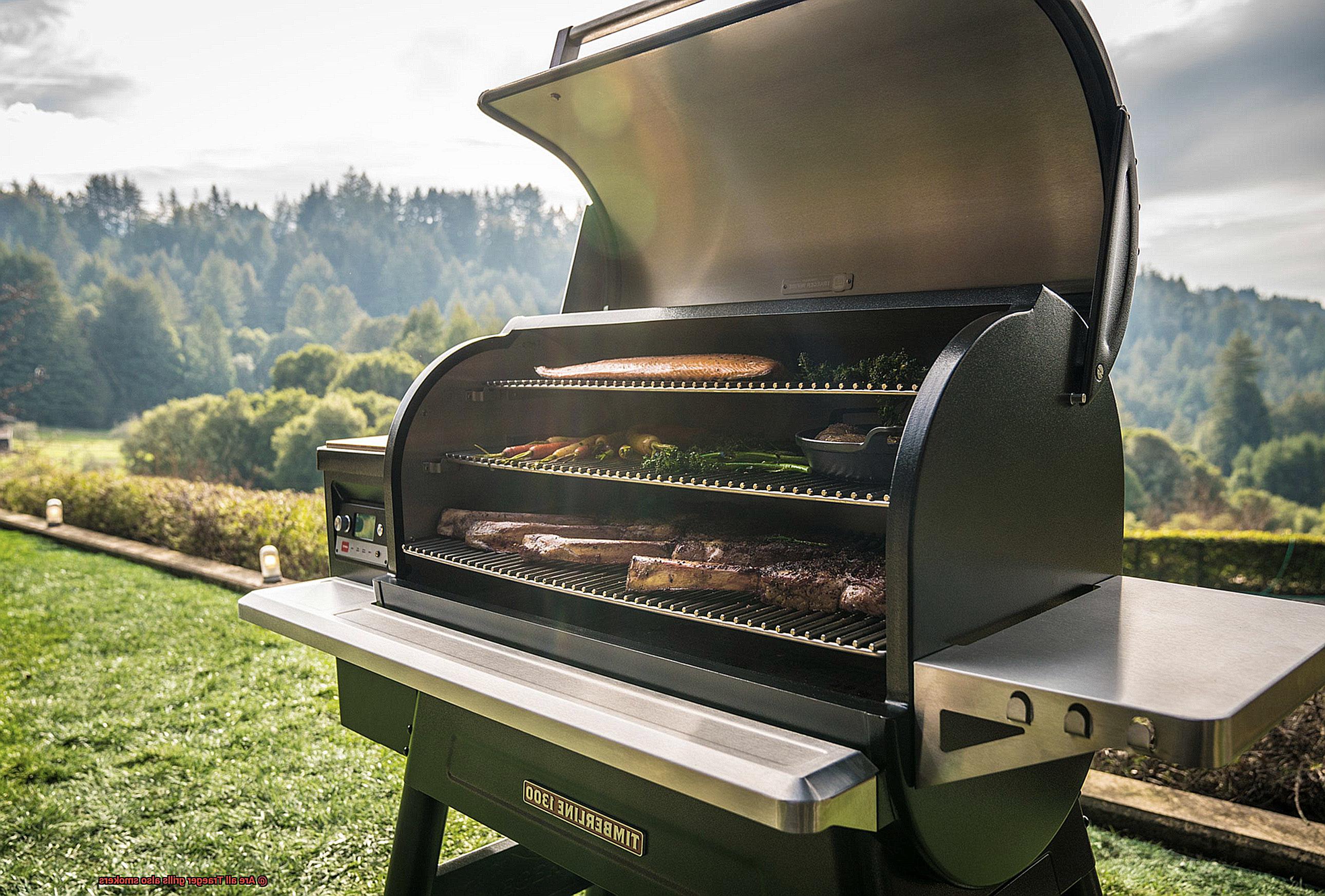 Are all Traeger grills also smokers-3