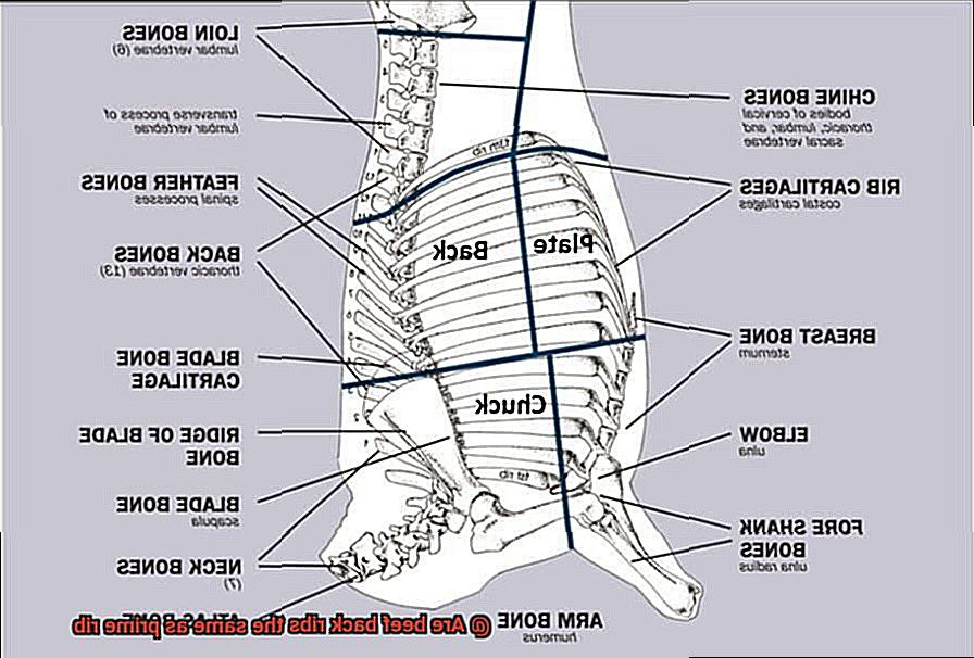 Are beef back ribs the same as prime rib-7