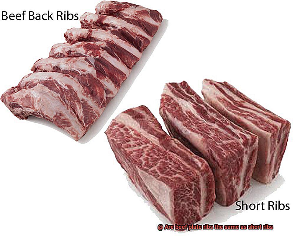 Are beef plate ribs the same as short ribs-7