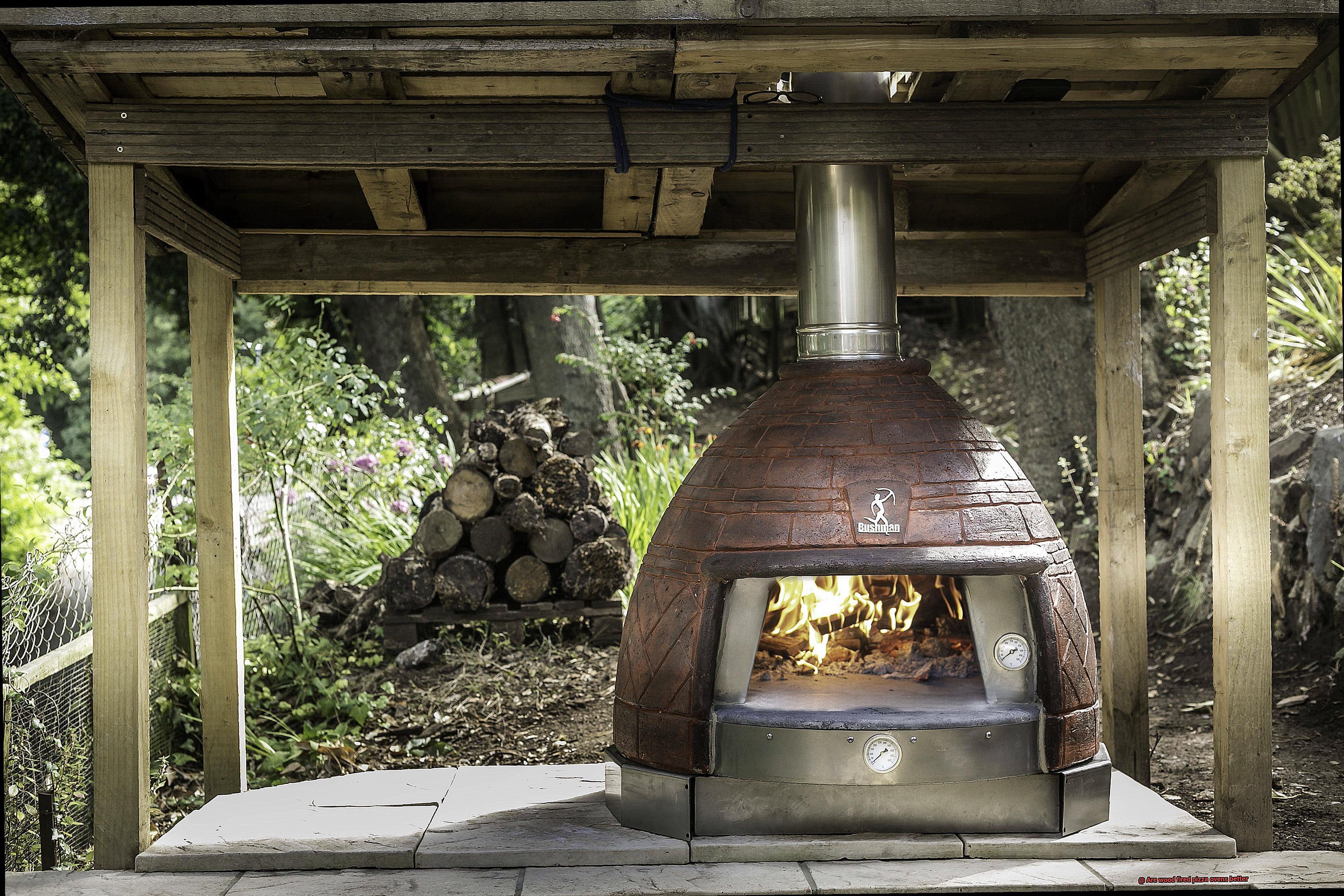 Are wood fired pizza ovens better-5