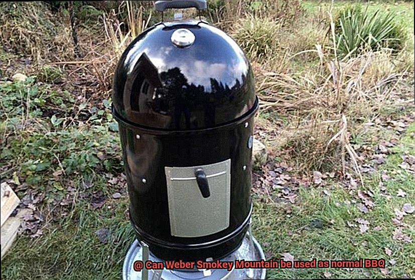 Can Weber Smokey Mountain be used as normal BBQ-8