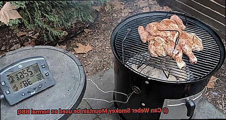 Can Weber Smokey Mountain be used as normal BBQ-6