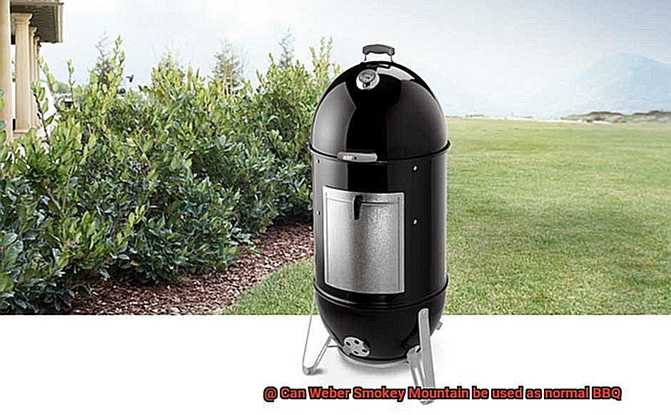 Can Weber Smokey Mountain be used as normal BBQ-2
