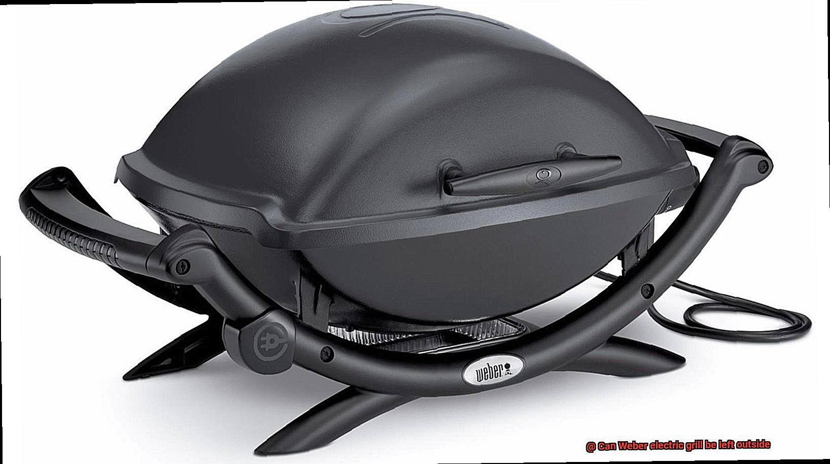 Can Weber electric grill be left outside-7