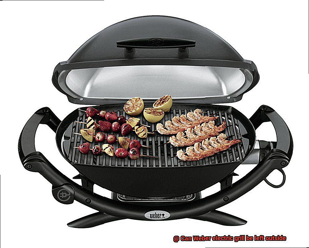 Can Weber electric grill be left outside-5