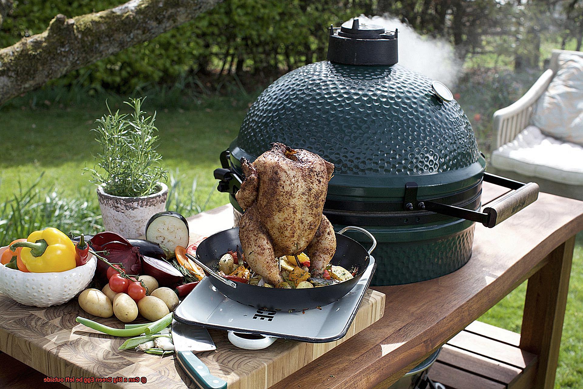 Can a Big Green Egg be left outside-2