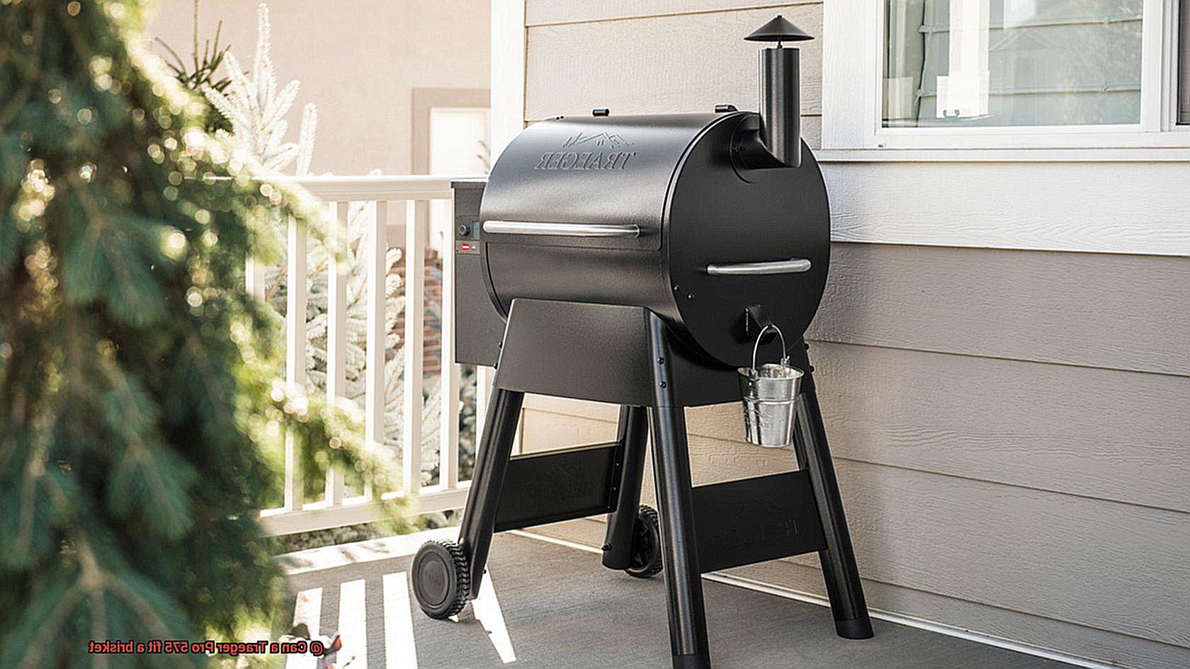 Can a Traeger Pro 575 fit a brisket-5