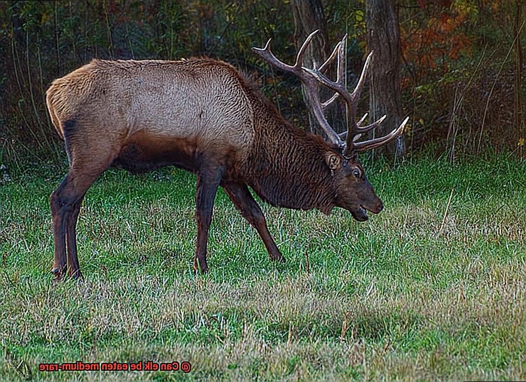 Can elk be eaten medium-rare-3