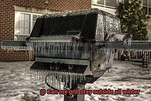 Can my grill stay outside all winter-10