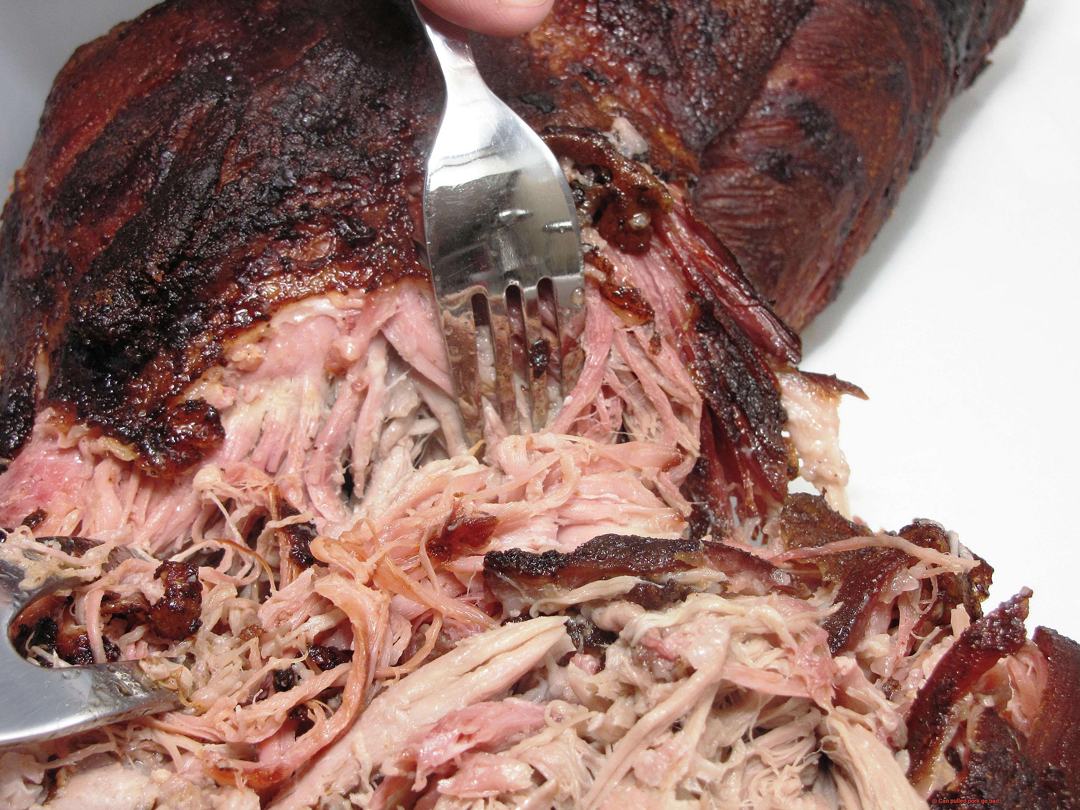 Can pulled pork go bad-9