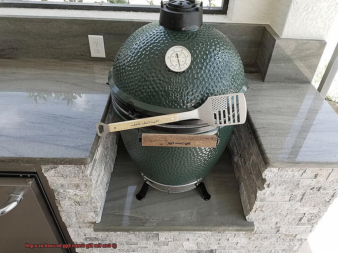 Can the Big Green Egg be used as a grill-8