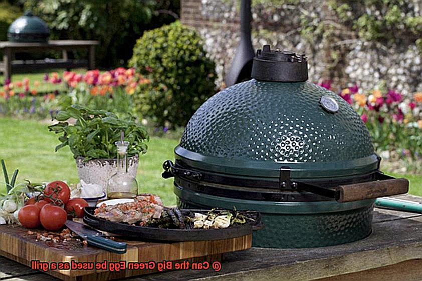 Can the Big Green Egg be used as a grill-6
