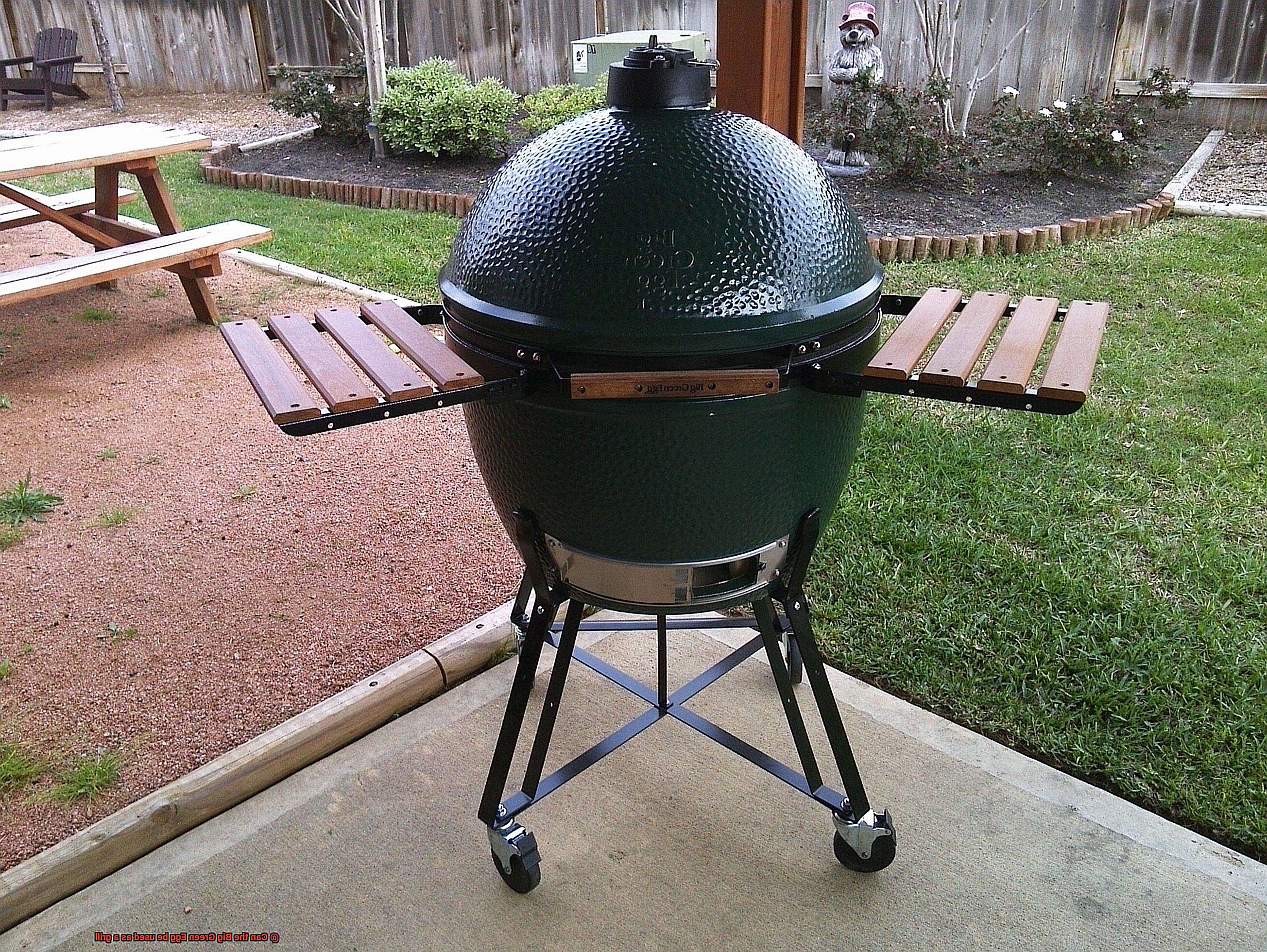 Can the Big Green Egg be used as a grill-7