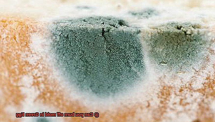 Can you burn off mold in Green Egg-5