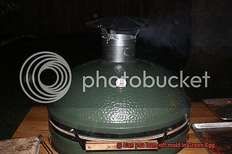 Can you burn off mold in Green Egg-7