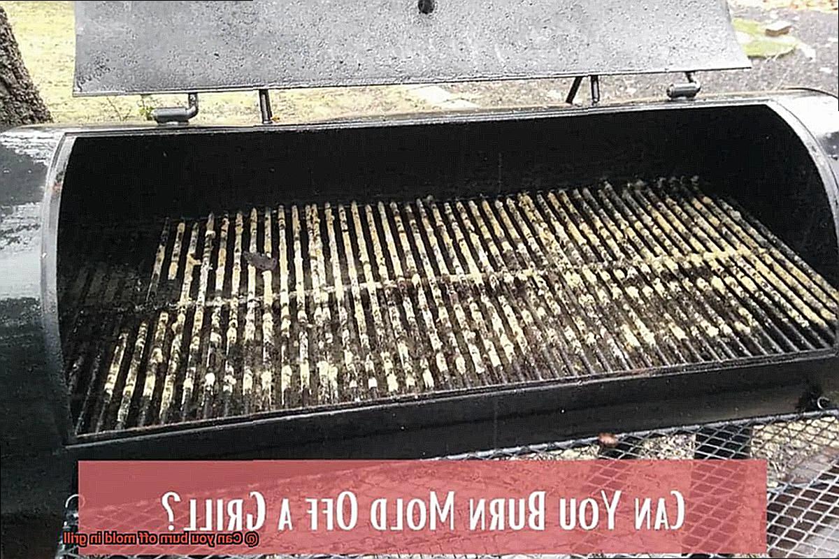 Can you burn off mold in grill-2