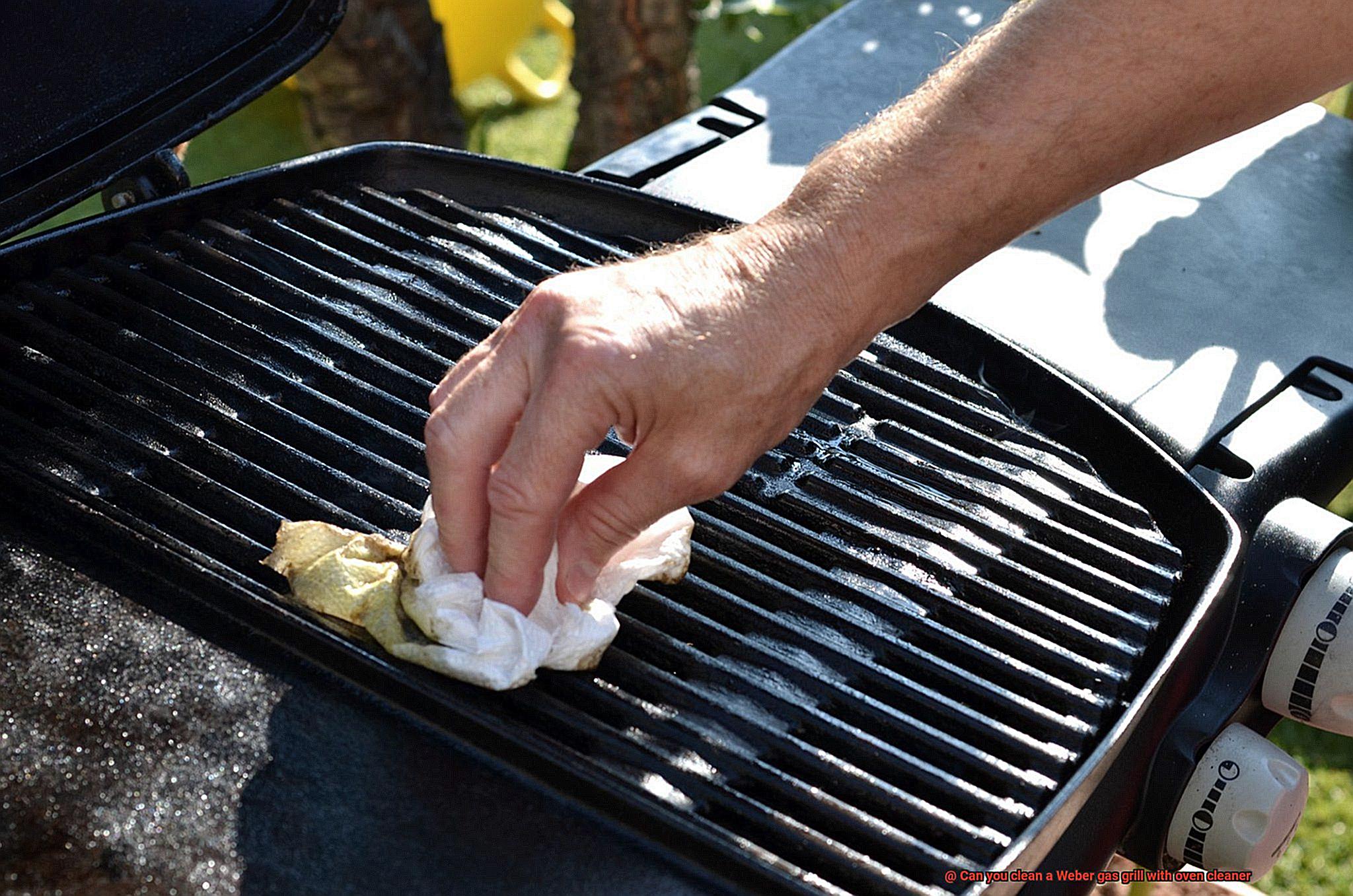 Can you clean a Weber gas grill with oven cleaner-5