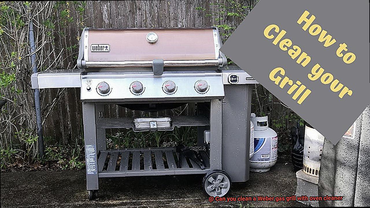 Can you clean a Weber gas grill with oven cleaner-7