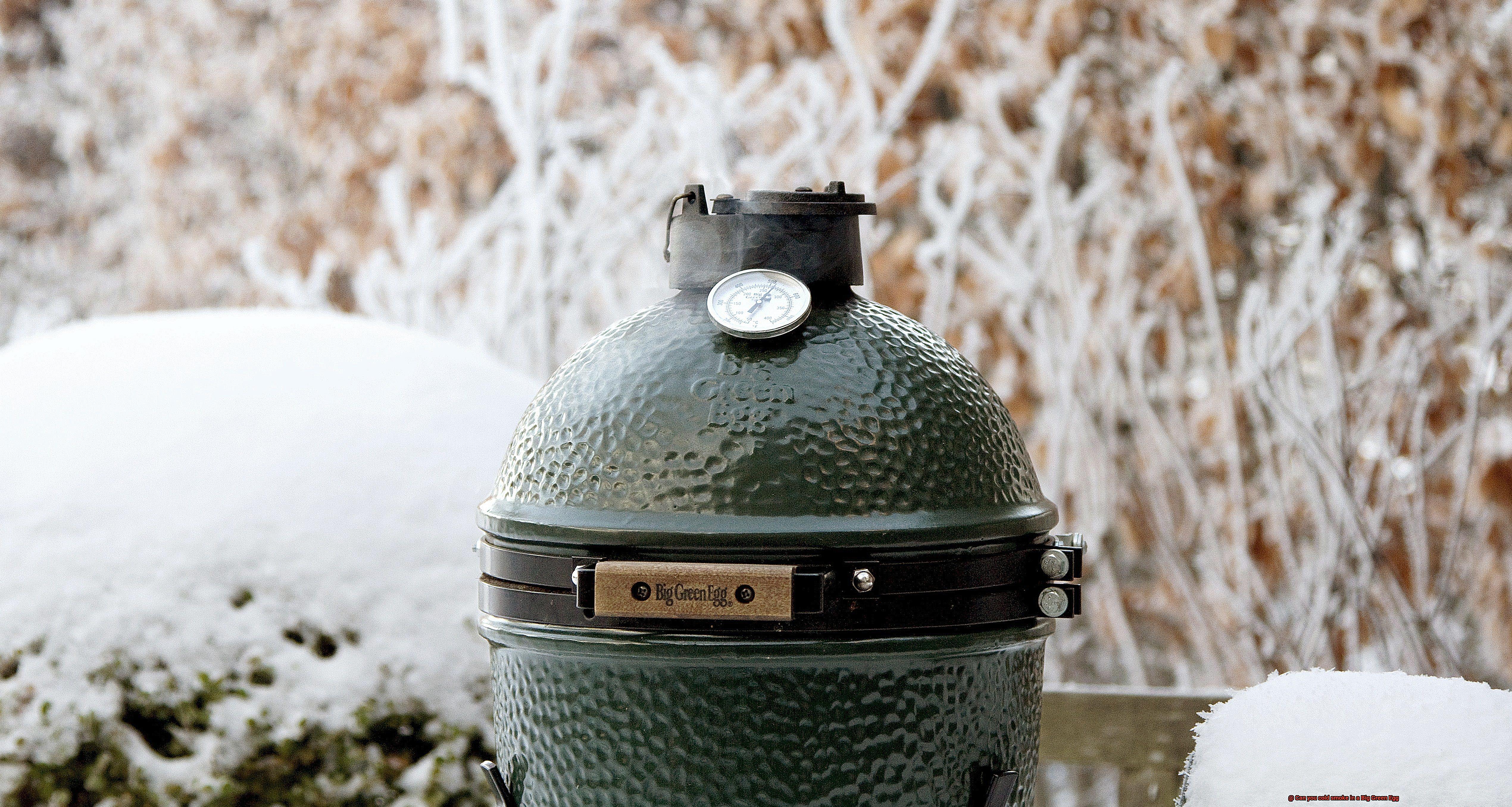 Can you cold smoke in a Big Green Egg-3