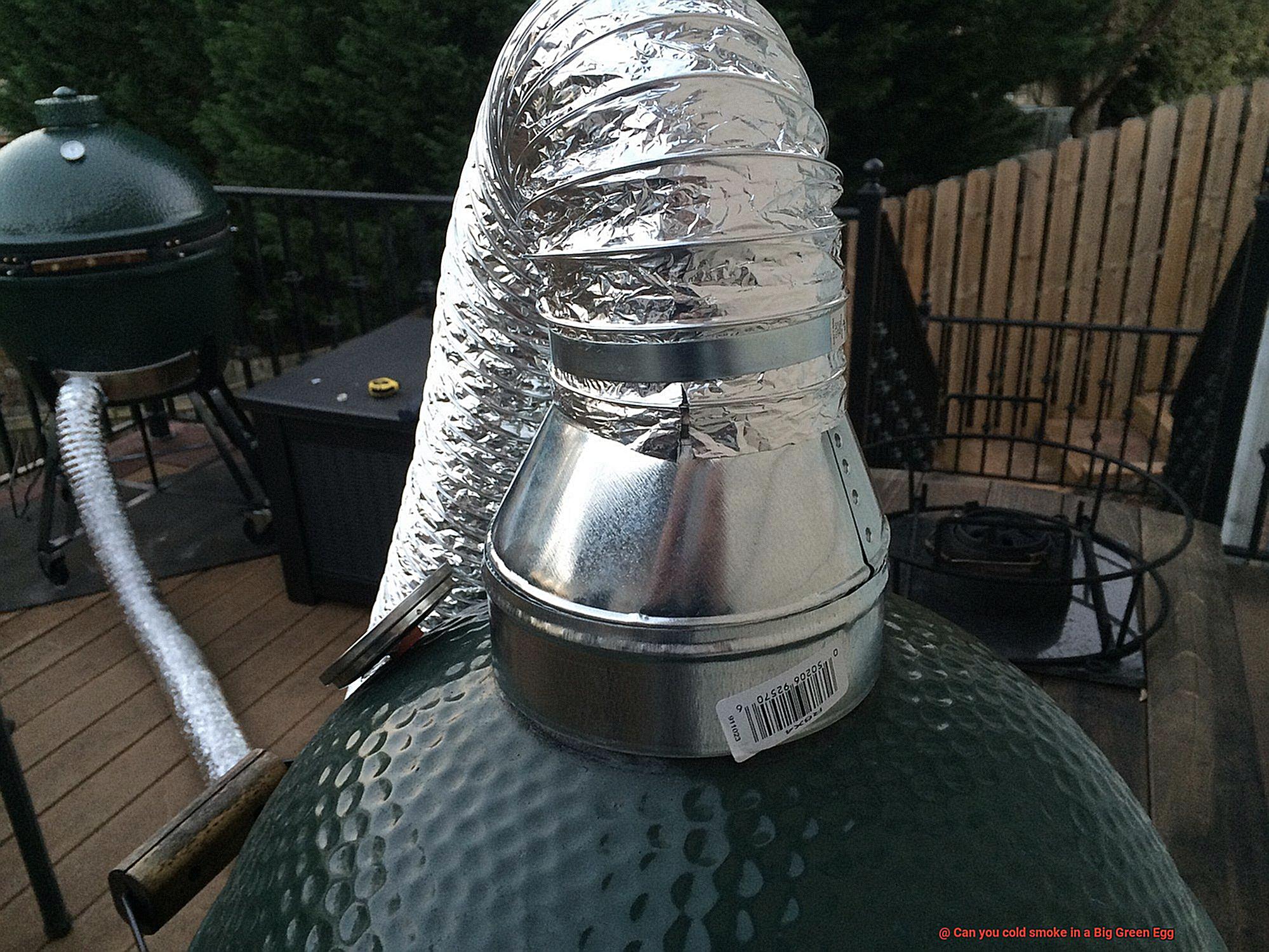 Can you cold smoke in a Big Green Egg-5