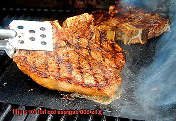 Is 600 degrees too hot for a grill-5