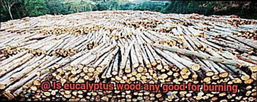 Is eucalyptus wood any good for burning-6