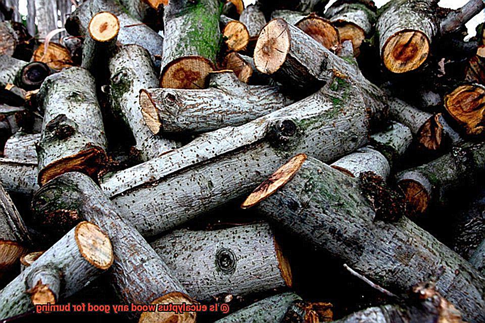 Is eucalyptus wood any good for burning-7