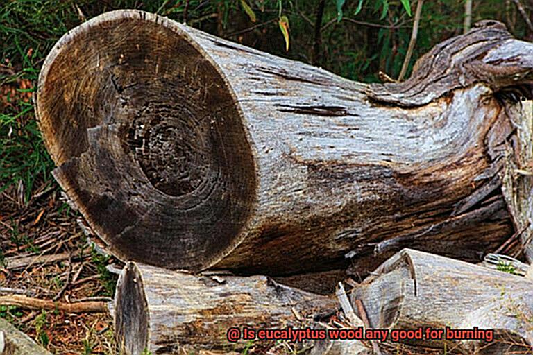 Is eucalyptus wood any good for burning-3